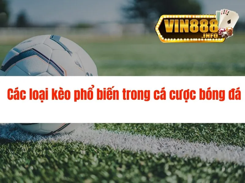 Tỷ lệ kèo cá cược bóng đá cao tại Vin88