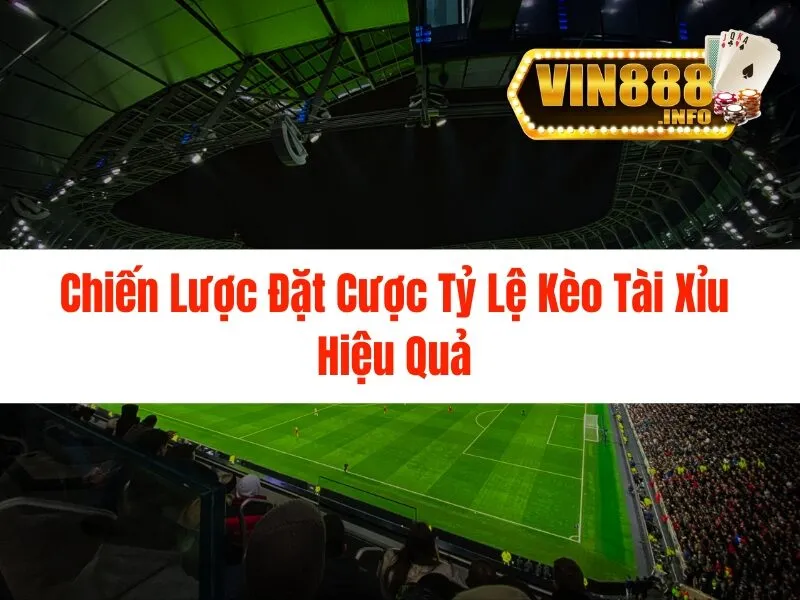 Tỷ lệ kèo tài xỉu - Kinh Nghiệm Cá Cược