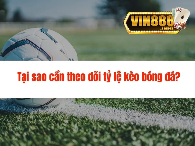 Tỷ lệ kèo bóng đá hôm nay - Tỷ Lệ Cao Tại Vin88