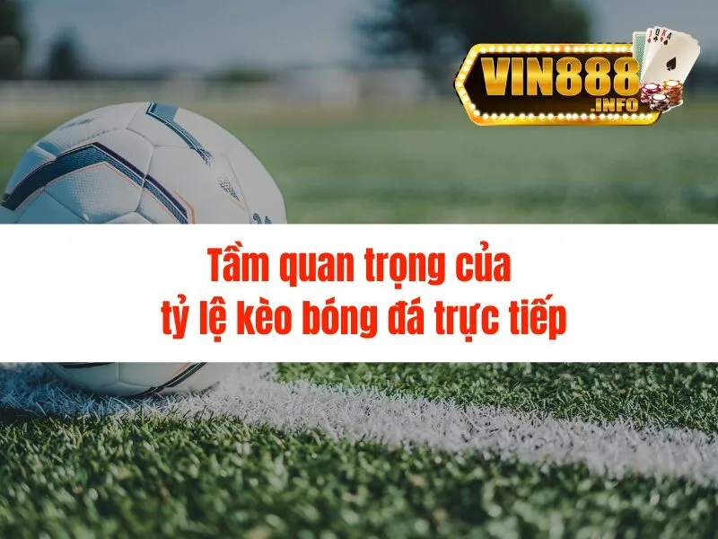 Tỷ lệ kèo bóng đá trực tiếp tại Vin88