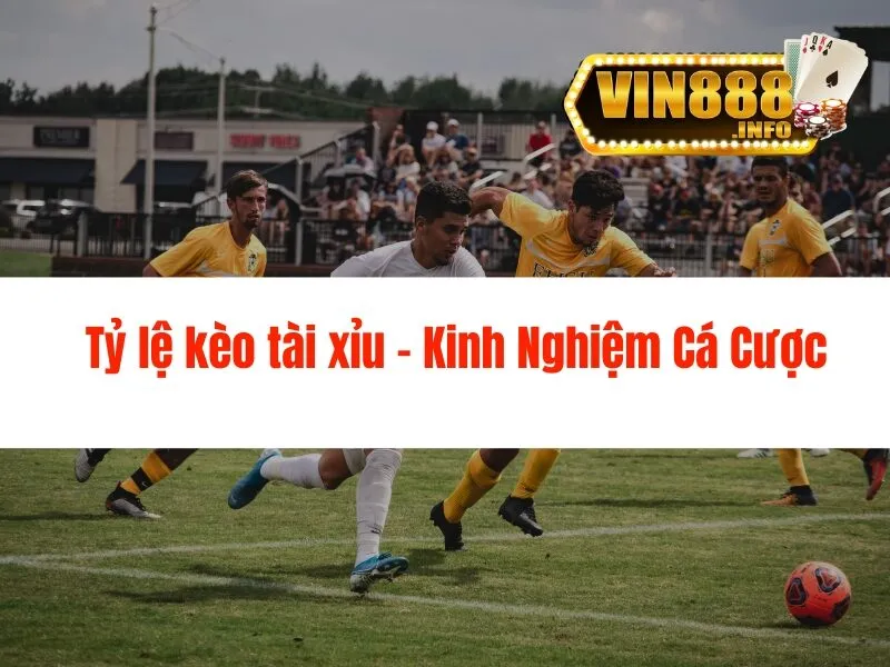 Tỷ lệ kèo tài xỉu - Kinh Nghiệm Cá Cược